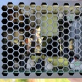 IMG_3391.jpeg